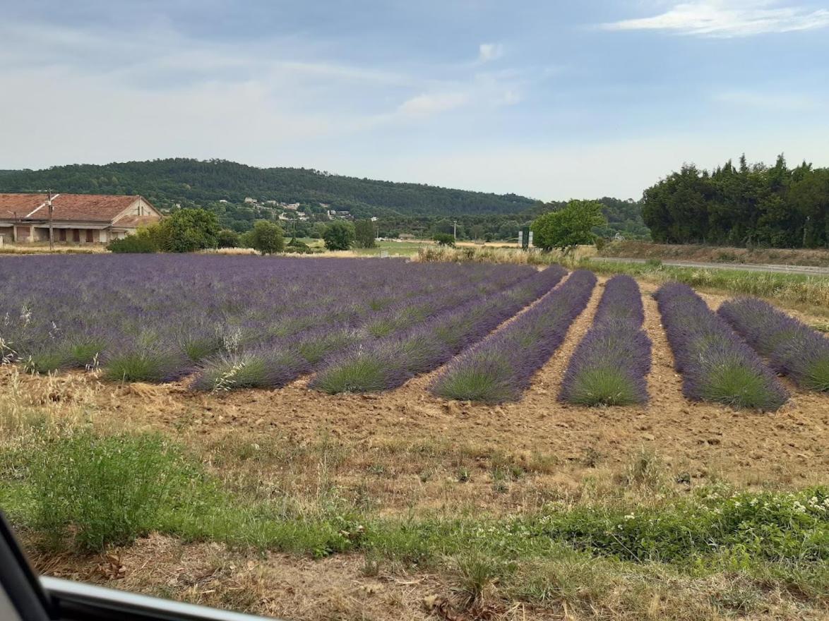Maison De Famille Entre Vigne Et Lavande Verfeuil Экстерьер фото